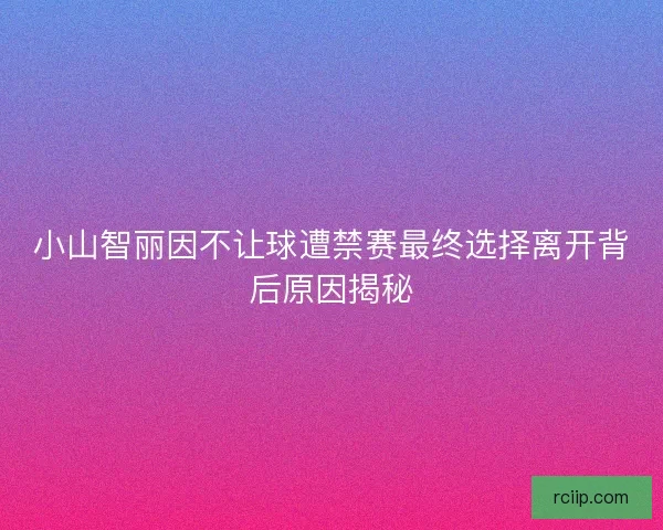 小山智丽因不让球遭禁赛最终选择离开背后原因揭秘